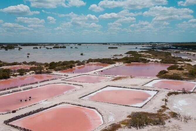 Tour to progreso, corchito and salt ponds - Key Points