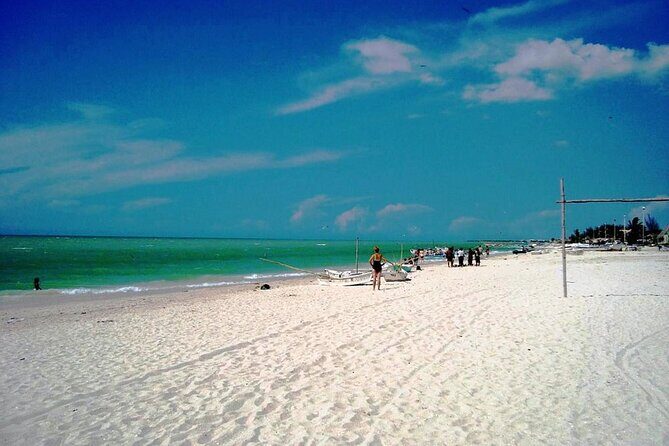 Tour to progreso, corchito and salt ponds - Transportation and Group Size