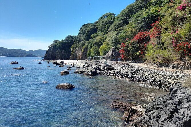 Tour to Rincon de Guayabitos with Coral Island Visit - Authentic Experiences and Traveler Insights