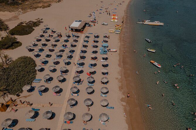 Tour to Sitia, Toplou Monastery and Vai Palm Beach from Ierapetra - A Deep Dive into the Experience