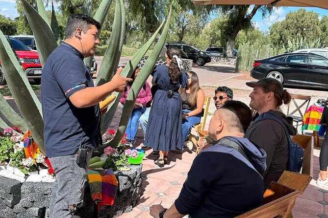 Tour to Teotihuacan Pyramids - Who Would Enjoy This Tour?