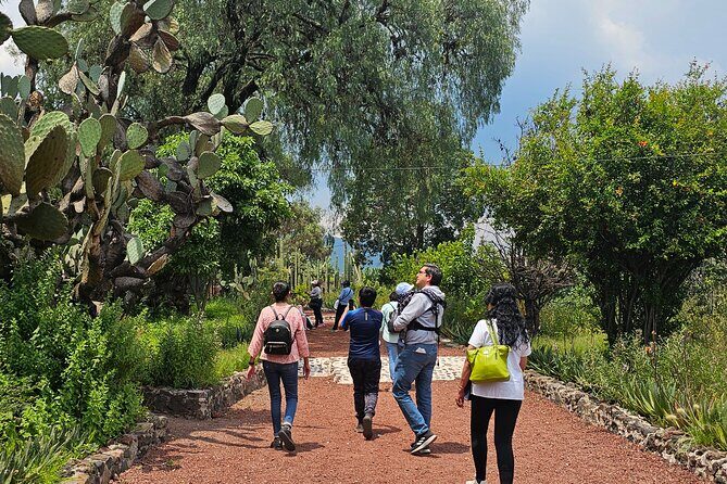 Tour to Teotihuacan the city of the gods - Who Would Love This Tour?