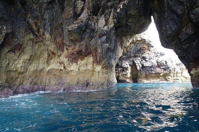 Tour to the caves of Sesimbra - Dolphins and Wildlife Encounters