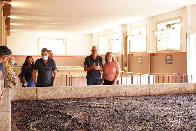 Tour to the Palace of Mateus and the Douro - Introduction: A Perfect Day Exploring Portugal’s Douro Valley