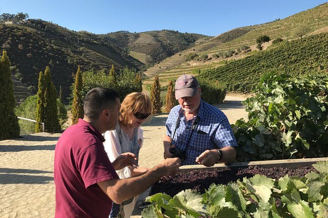 Tour to the Palace of Mateus and the Douro - The Sum Up: Who Is This Tour Perfect For?