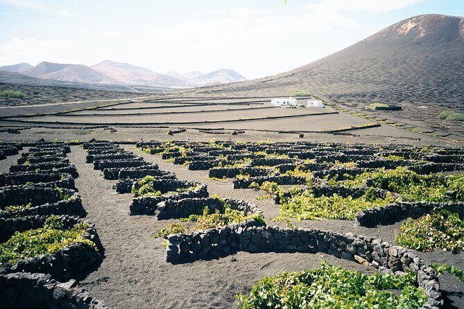 Tour to Timanfaya, La Geria and La Laguna Verde - Practical Details and Tips