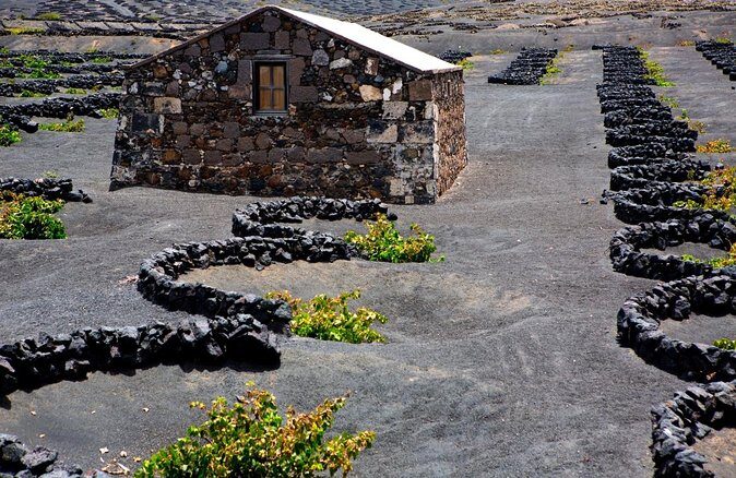 Tour to Timanfaya, La Geria and Laguna Verde for cruise passengers - An In-Depth Review of the Lanzarote Highlights