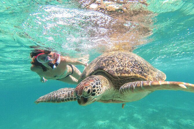 Tour to Tulum and Cenote Swimming with Turtles from Tulum - Key Points
