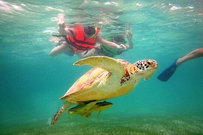 Tour to Tulum and cenote with swimming with turtles from Riviera Maya - FAQ