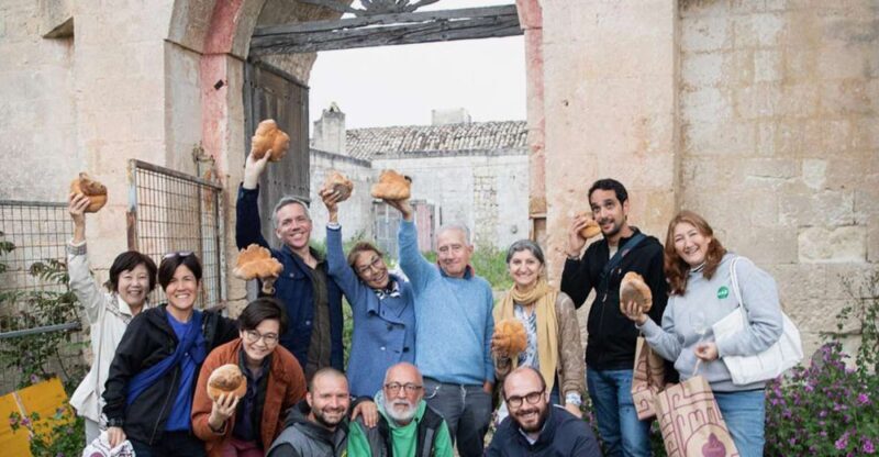 Tour tra i Templi dell'Olio e gli Olivi Patriarchi - The Experience in Detail