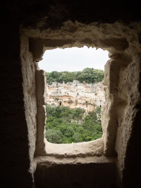 Tour tra i Templi dell'Olio e gli Olivi Patriarchi - FAQs