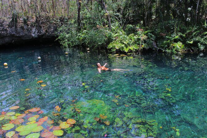 Tour Tulum 4 Cenotes and Traditional Food in Villa Maya - Discovering the Tulum Cenotes: A Deep Dive into the Itinerary