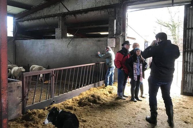 Tour Wicklow Mountains National Park in a limo with private guide - A Deep Dive into the Wicklow Mountains Private Tour