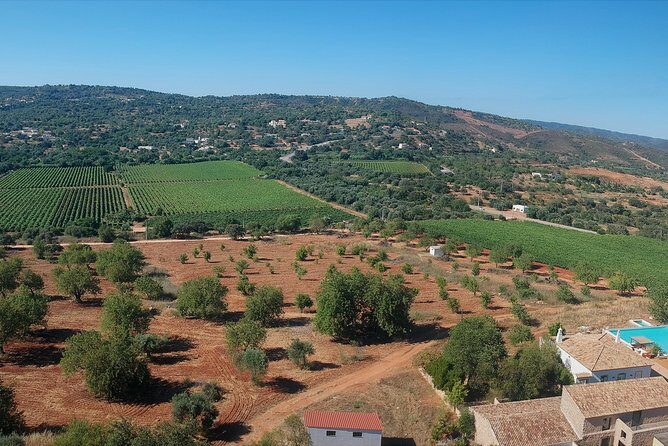 Tour & Wine tasting - Authentic Algarve Flavours by Quinta da Tôr - A Deeper Look at the Experience