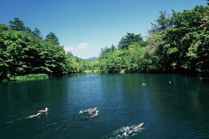 Tour with a dedicated car! Visiting the basic tourist spots in Karuizawa (half day course / Japanese guide) - Authentic Insights from Past Travelers