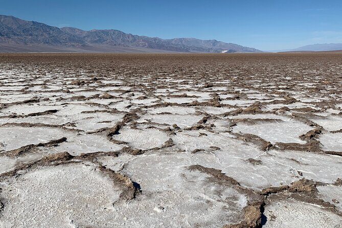 Tour with French Guide of Death Valley - Authentic Insights from Reviews
