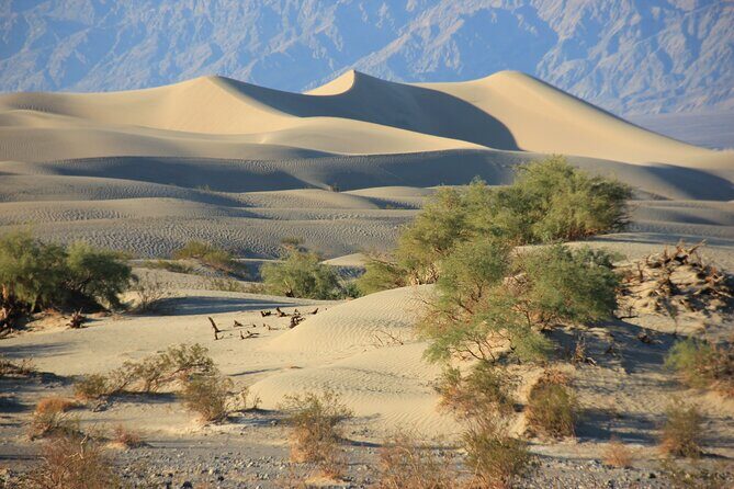 Tour with French Guide of Death Valley - FAQ