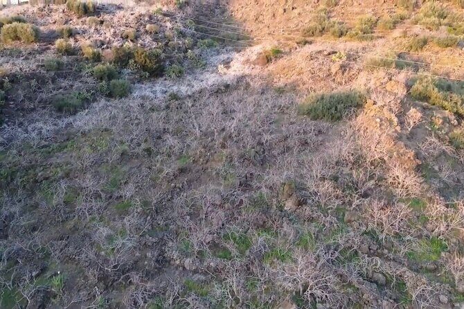 tour with tasting in the Bronte pistachio plantations - Final Thoughts