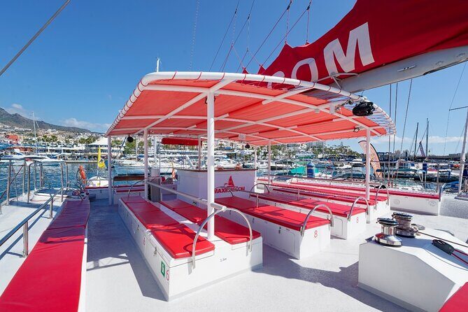 Tour with Whale and Dolphin Watching plus food included - Authentic Experiences & Real Guest Feedback