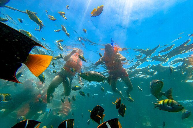 Tour Yelapa and Majahuitas with Lunch and Open Bar - Who Will Love This Tour?