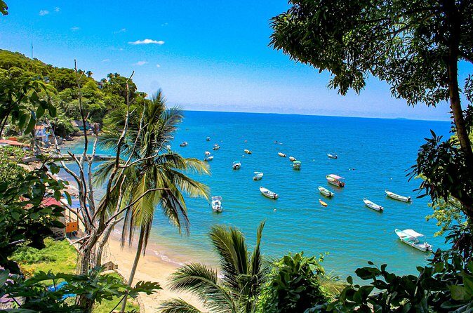 Tour Yelapa and Majahuitas with Lunch and Open Bar - FAQ