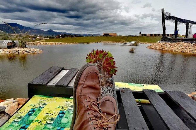 Tourist guide in the Wine Country (Valle de Guadalupe) Ensenada - Key Points