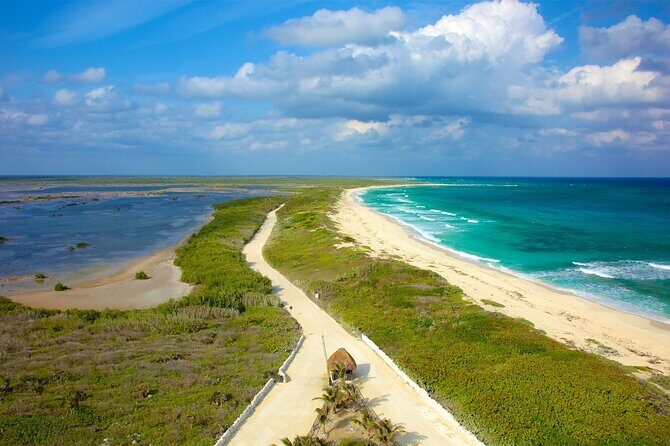 Tours along the beaches of Cozumel Mexico by buggy all inclusive - Key Points