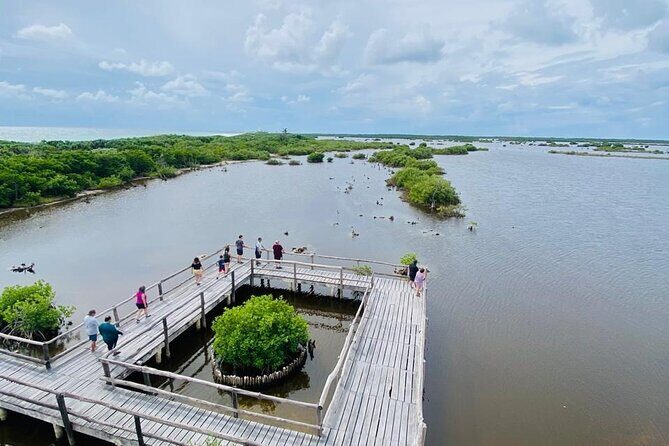 Tours along the beaches of Cozumel Mexico by buggy all inclusive - Who Will Love This Tour?