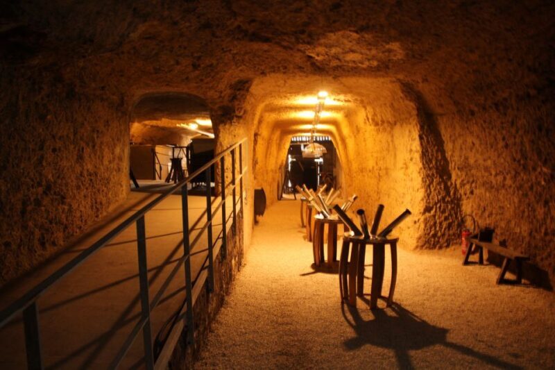 Tours/Amboise: Chambord, Chenonceau Day Trip & Wine Tasting - An In-Depth Look at the Loire Valley Day Trip