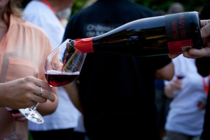 Tours/Amboise: Private tour AzayLeRideau Langeais Villandry - Final Thoughts