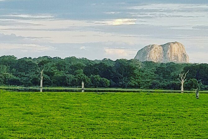 Tours and Transportation in Sri Lanka - Who Should Consider This Tour?