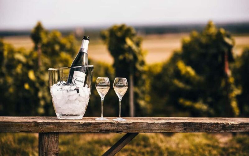 Tours-sur-Marne: Cellar Tour & Champagne Tasting - A Closer Look at the Tour Experience