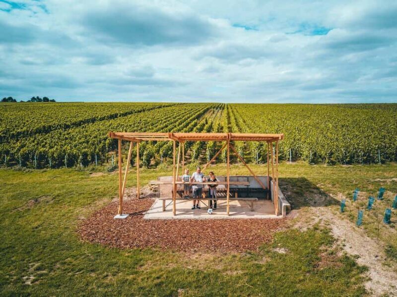 Tours-sur-Marne: Cellar Tour & Champagne Tasting - Final Thoughts: Is It Worth It?