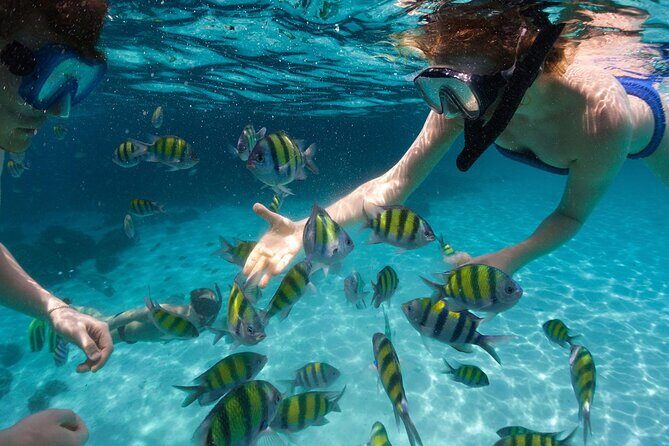 Tours_Miami_Day Trip To Key West From Miami_D662 38439P1 Review - What’s Included and What’s Not