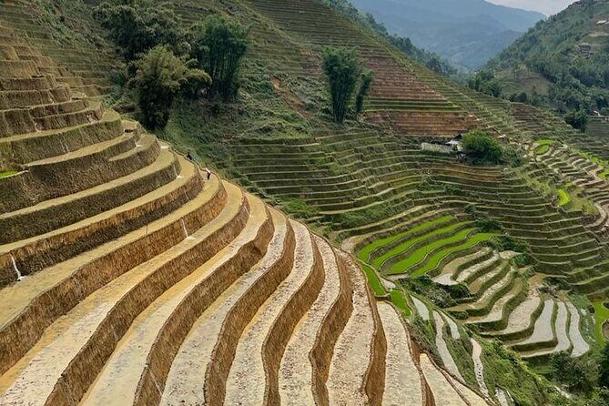 Tours_Sapa_Sapa Trekking Experience Trekking Through Terraced Rice Fields_D50492 250466P141 Review - What to Expect from the Tour