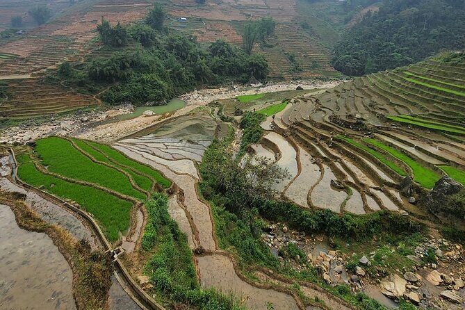 Tours_Sapa_Sapa Trekking Experience Trekking Through Terraced Rice Fields_D50492 250466P141 Review - FAQ