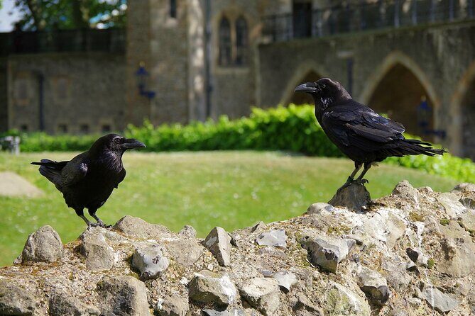 Tower of London Private Walking Tour - An In-Depth Look at What’s Included