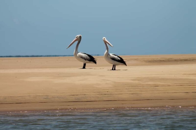 Town 1770: Afternoon Coastline Tour - An In-Depth Look at the Town 1770: Afternoon Coastline Tour