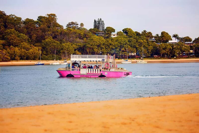 Town 1770: Afternoon Coastline Tour - The Sum Up: Who Is This Tour Best For?