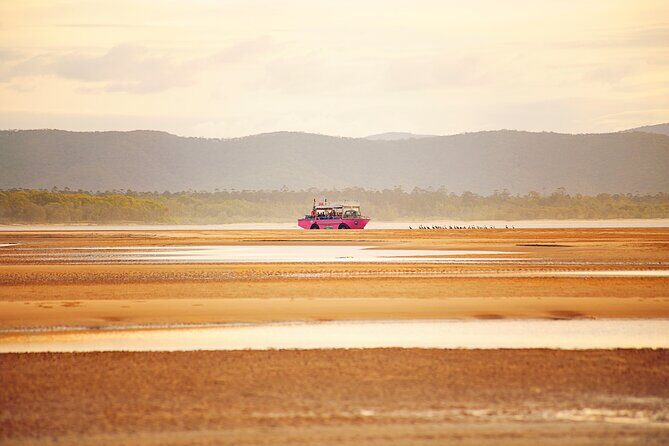 Town of 1770 Afternoon Cruise - Who Should Consider This Tour?