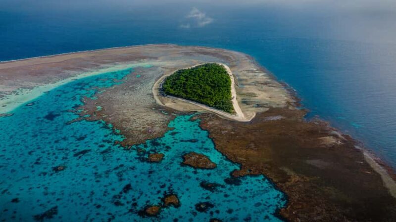 Town of 1770: Lady Musgrave Island Snorkelling Day Cruise - An In-Depth Look at the Tour