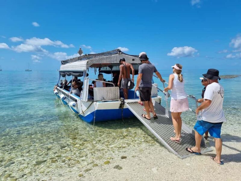 Town of 1770: Lady Musgrave Island Snorkelling Day Cruise - The Sum Up: Who Should Consider This Tour?