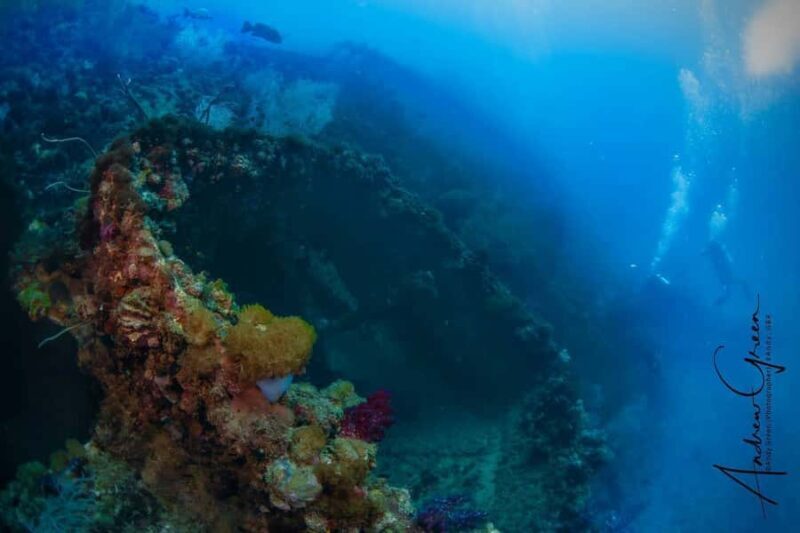 Townsville or Magnetic Island: Yongala Wreck Dive Day Trip - An In-Depth Look at the Experience