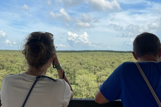 Tra Su Cajuput Forest An Cairang Floating Market - Practicalities and What to Expect