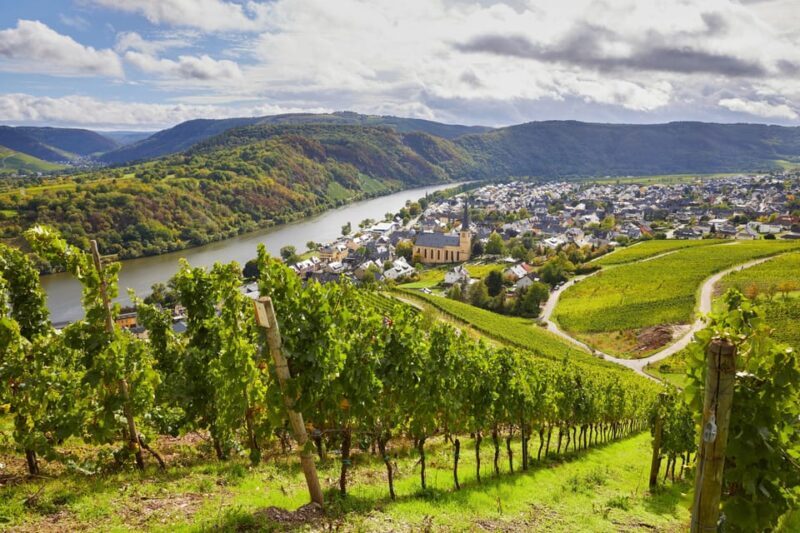 Traben-Trarbach / Bernkastel-Kues, Moselle: Wine experience hike - An Overview of the Experience