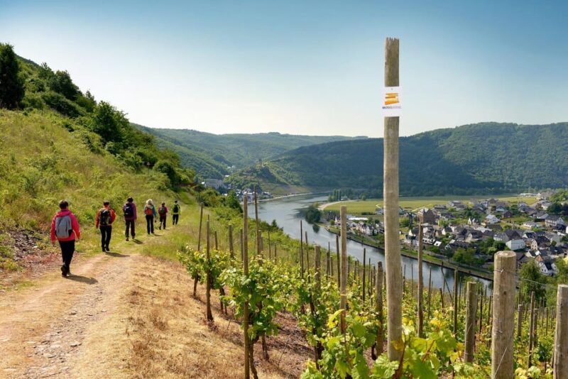 Traben-Trarbach / Bernkastel-Kues, Moselle: Wine experience hike - The Practicalities: Value, Price, and Logistics