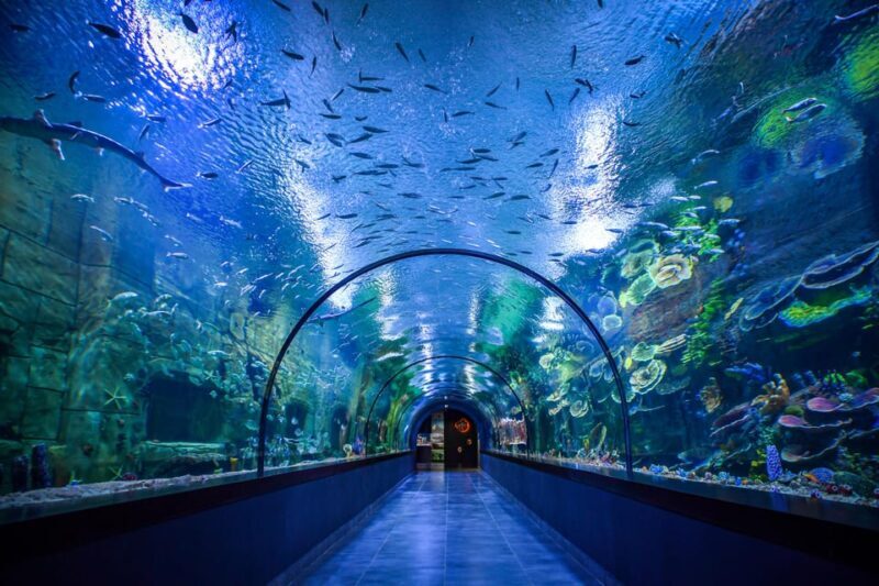 Trabzon: Atatürk Mansion, Ayasofya Mosque, Private Tour - Break-Down of Highlights