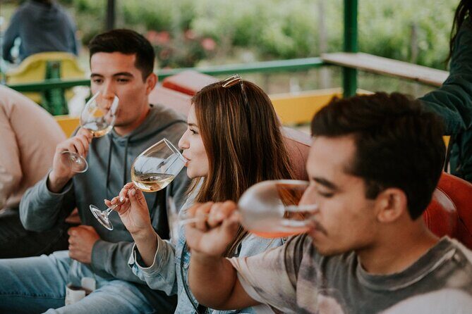 Tractor Pull Around Vineyards and Wine Tasting Tour - The Itinerary: What You Can Expect