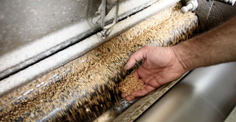 Tradition and taste: tour of Caltagirone's historic mill - Exploring the Historic Mill: What You Can Expect