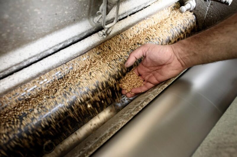 Tradition and taste: tour of Caltagirone's historic mill - Who Should Consider This Tour?